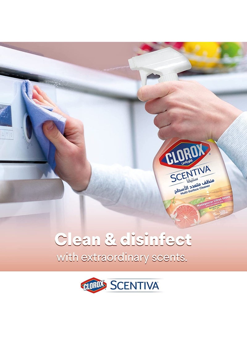 Clorox Scentiva Multi-Surface Cleaner Madagascar Citrus Grove Bleach Free Disinfectant Spray 500ml - Image 4