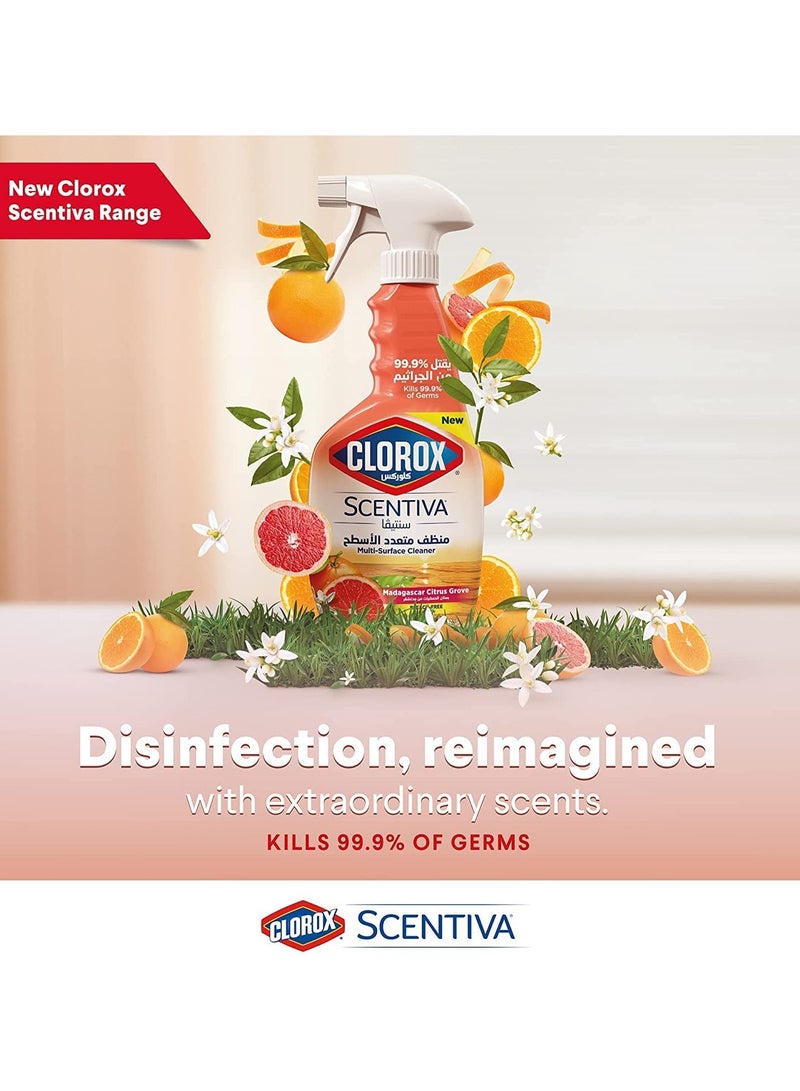 Clorox Scentiva Multi-Surface Cleaner Madagascar Citrus Grove Bleach Free Disinfectant Spray 500ml - Image 3