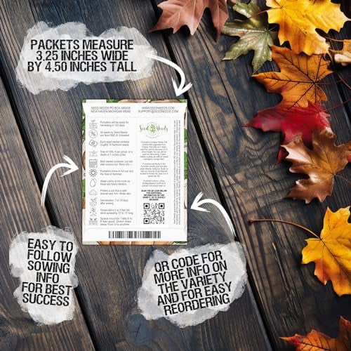 Seed Needs, Specialty Pumpkin Seed Packet Collection (4 Individual Varieties of Pumpkin Seeds for Planting) Fairytale, Blue Jarrahdale, Lumina White & Jack O Lantern - Image 2