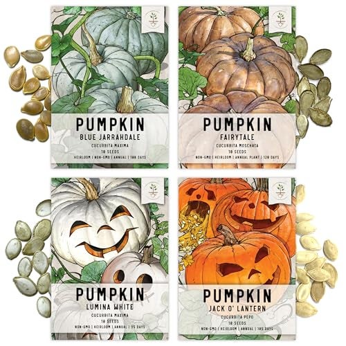 Seed Needs, Specialty Pumpkin Seed Packet Collection (4 Individual Varieties of Pumpkin Seeds for Planting) Fairytale, Blue Jarrahdale, Lumina White & Jack O Lantern - Image 1