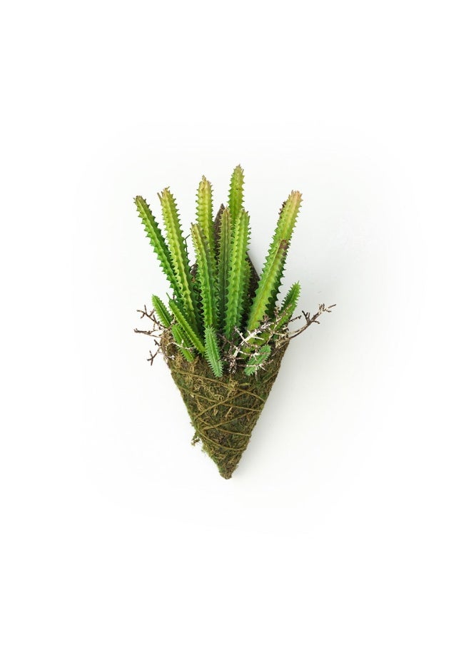 ebarza Handmade Decorative Artificial Plant Wall N36020-Xg164 
