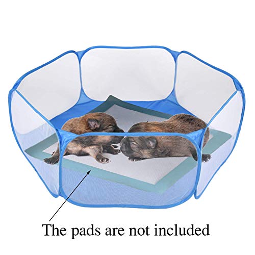 RYPET Guinea Pig Playpen - Breathable & Transparent Pet Playpen Pop Open Outdoor/Indoor Exercise Fence, Portable Yard Fence for Guinea Pig, Rabbits, Hamster, Chinchillas and Hedgehogs - Image 2