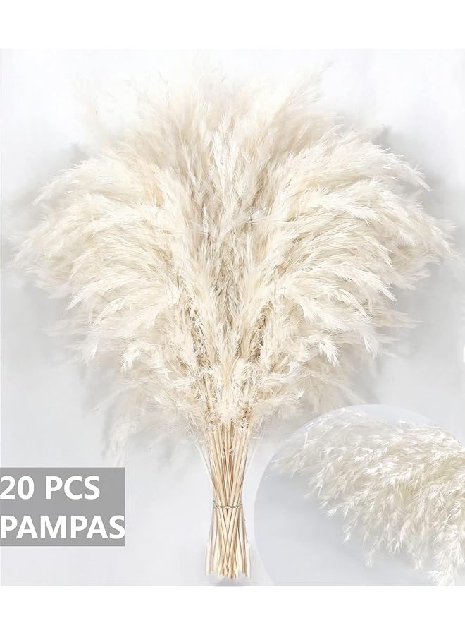 erorex White Pampas Grass For Home Decor Elegant Decor Premium Quality Pampas Grass Stems Perfect For House Nursery Western Wedding Table And Bohemian Decor 20Pcs  - Image 5
