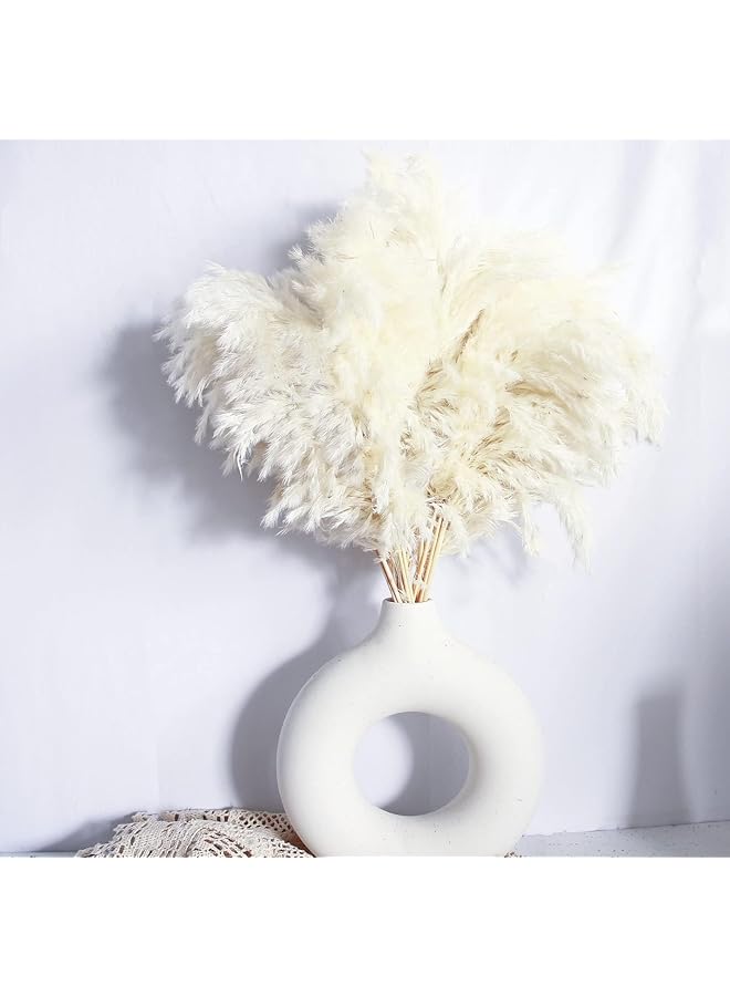 erorex White Pampas Grass For Home Decor Elegant Decor Premium Quality Pampas Grass Stems Perfect For House Nursery Western Wedding Table And Bohemian Decor 20Pcs  - Image 1
