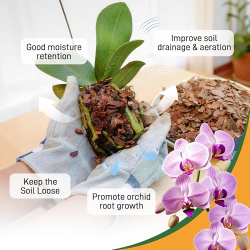 Biotolot 2qt Orchid Bark Horticultural Grade- Natural Mulch for Potted Plants, Root Development of Orchid Plants and Garden Soil Amendment Mix - Image 4