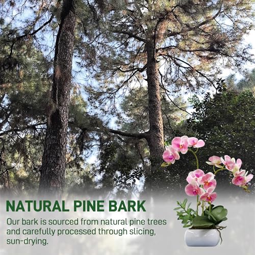 Biotolot 2qt Orchid Bark Horticultural Grade- Natural Mulch for Potted Plants, Root Development of Orchid Plants and Garden Soil Amendment Mix - Image 3