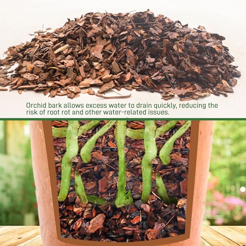 Biotolot 2qt Orchid Bark Horticultural Grade- Natural Mulch for Potted Plants, Root Development of Orchid Plants and Garden Soil Amendment Mix - Image 5