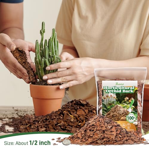 Biotolot 2qt Orchid Bark Horticultural Grade- Natural Mulch for Potted Plants, Root Development of Orchid Plants and Garden Soil Amendment Mix - Image 2