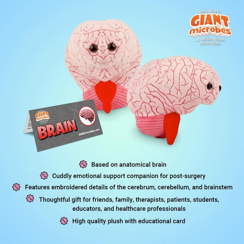 Giant Microbes دميّة دماغ GIANTmicrobes، لعبة دماغ، حيوان محشو دماغ، هدايا دماغ للأطباء العصبيين، هدايا تعافي جراحة الدماغ، هدايا علم الأعصاب، هدايا علوم الأعصاب، هدية إصابة الدماغ، ديكور دماغ، هدية بيولوجيا - Image 3
