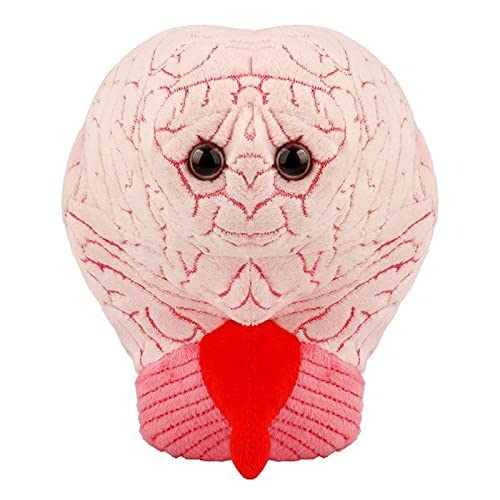 Giant Microbes دميّة دماغ GIANTmicrobes، لعبة دماغ، حيوان محشو دماغ، هدايا دماغ للأطباء العصبيين، هدايا تعافي جراحة الدماغ، هدايا علم الأعصاب، هدايا علوم الأعصاب، هدية إصابة الدماغ، ديكور دماغ، هدية بيولوجيا - Image 4