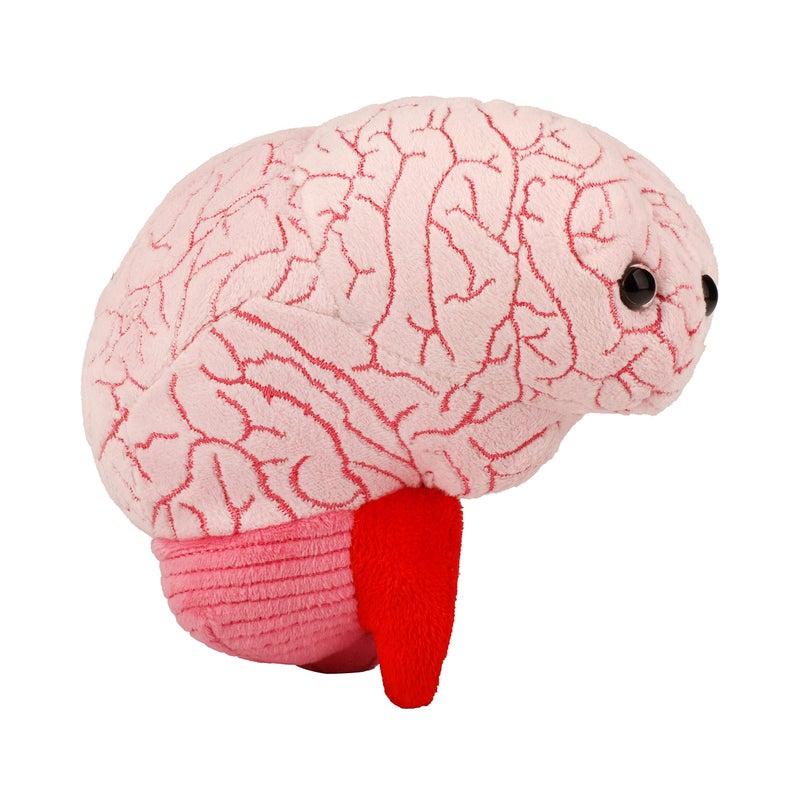 Giant Microbes دميّة دماغ GIANTmicrobes، لعبة دماغ، حيوان محشو دماغ، هدايا دماغ للأطباء العصبيين، هدايا تعافي جراحة الدماغ، هدايا علم الأعصاب، هدايا علوم الأعصاب، هدية إصابة الدماغ، ديكور دماغ، هدية بيولوجيا - Image 1