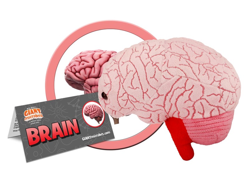 Giant Microbes دميّة دماغ GIANTmicrobes، لعبة دماغ، حيوان محشو دماغ، هدايا دماغ للأطباء العصبيين، هدايا تعافي جراحة الدماغ، هدايا علم الأعصاب، هدايا علوم الأعصاب، هدية إصابة الدماغ، ديكور دماغ، هدية بيولوجيا - Image 2