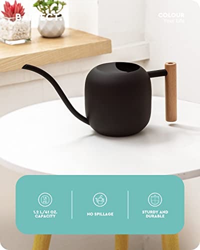 Baffect Watering Can Indoor Plants, 1.2L/41OZ Cute Watering Can Pot, Metal Stainless Steel Garden Water Can with Long Spout for Indoor House Plants Bonsai Outdoor Garden Flower Decorative - Image 2