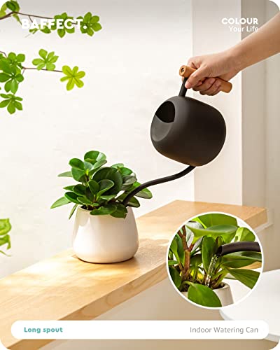 Baffect Watering Can Indoor Plants, 1.2L/41OZ Cute Watering Can Pot, Metal Stainless Steel Garden Water Can with Long Spout for Indoor House Plants Bonsai Outdoor Garden Flower Decorative - Image 3