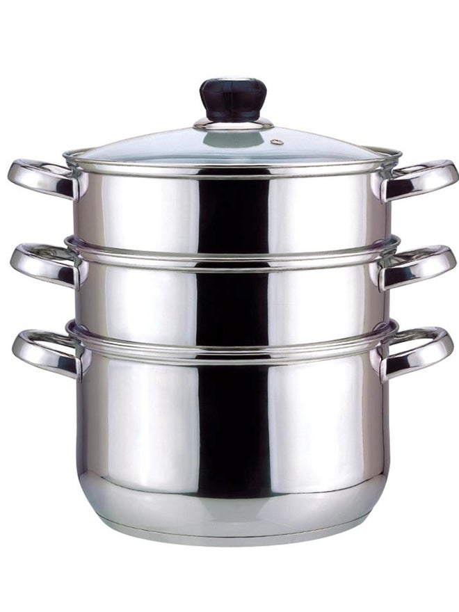 Wilson بخار ويلمستون من الفولاذ المقاوم للصدأ 3 مستويات، فضي، 24 سم