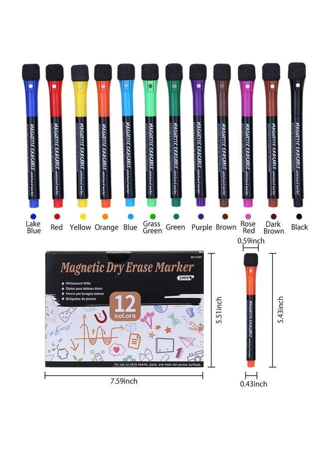 SAYEEC Magnetic Dry Erase Markers Fine Tip 12 Colors Whiteboard Markers With Eraser Cap Low Odor White Board Markers Dry Erase Marker Magic Painting Pens For Kids Teachers Office School Supplies - Image 3