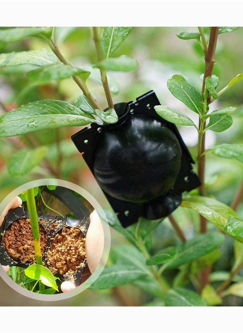 SYOSI - Plant Rooting Device, Plant Rooting Ball, Damage Free Grafting Box Plant Rooting Grow Box Plant Root Growth Grafting Ball Device for Plant Propagation Air-Layering Pod (Black) 9 Pieces - Image 1