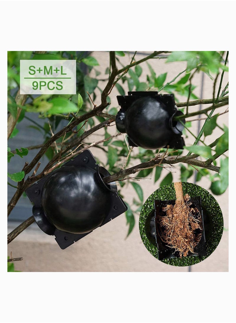 SYOSI - Plant Rooting Device, Plant Rooting Ball, Damage Free Grafting Box Plant Rooting Grow Box Plant Root Growth Grafting Ball Device for Plant Propagation Air-Layering Pod (Black) 9 Pieces - Image 1