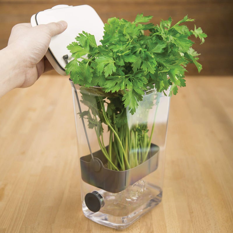 Progressive International Progressive International PKS-930 BPA-Free Plastic ProKeeper Herb Keeper with Removable Silicone Drain Plug, 1 Piece, White  - Image 5
