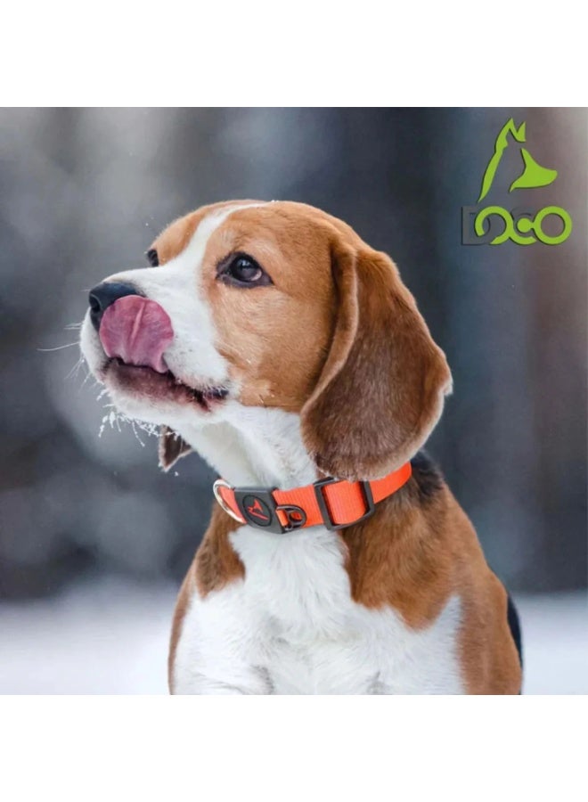 DOCO Signature O - Ring Collar Sizes: XS, Color: Turquoise - Image 3