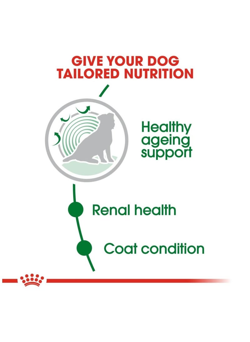 ROYAL CANIN Mini Ageing 12+ Dog Food 1.5kg - Image 3