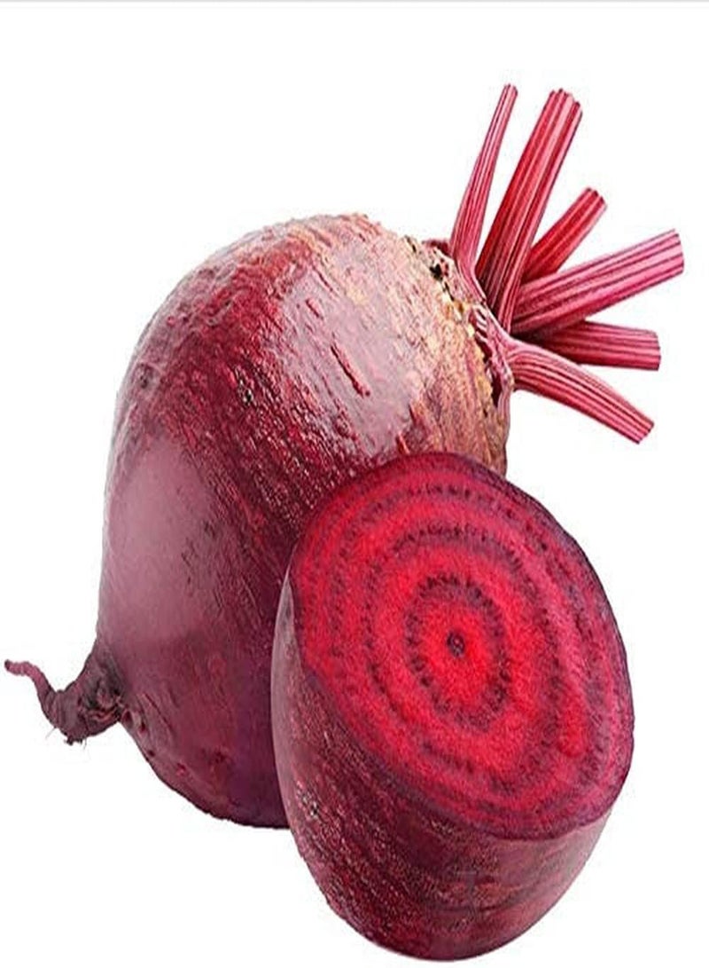 GGOOT 500pcs Beet Seeds Crimson Stems Roots Easy to Care Entry-Level Varieties Home Garden Harvest Outdoor Gardening Planting Suitable for Beginners - Image 1