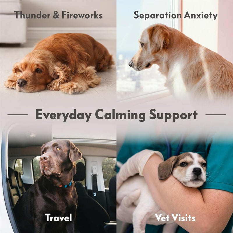 Paw Inspired Dog Anxiety Vest, Calming Weighted Thunder Jacket for Dogs, Soothing Compression Vest for Thunderstorms, Fireworks, Travel, Separation Anxiety (X-Small) - Image 5