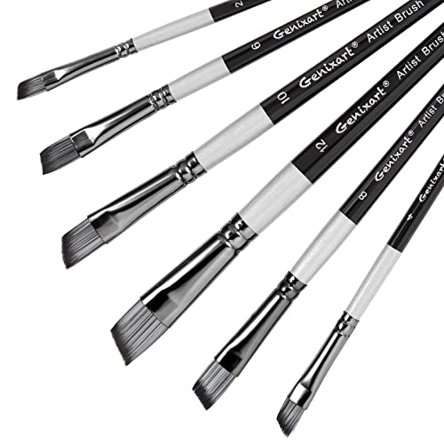 Genixart Angular Paint Brushes Set, 6 Pcs Angled Paintbrushes for Acrylic Oil Watercolor Gouache Painting, Premium Nylon Hair Angle Shader Brush for Art Beginners and Artist Professionals - Image 1