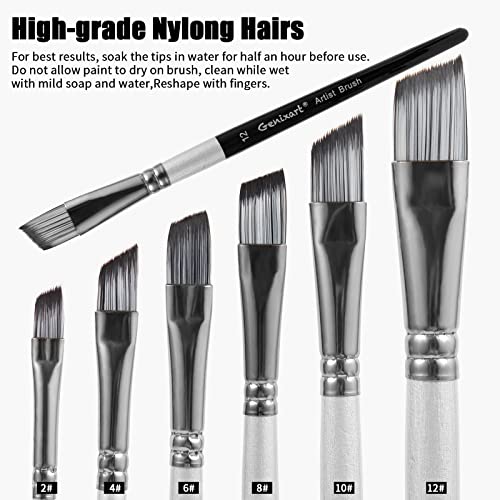 Genixart Angular Paint Brushes Set, 6 Pcs Angled Paintbrushes for Acrylic Oil Watercolor Gouache Painting, Premium Nylon Hair Angle Shader Brush for Art Beginners and Artist Professionals - Image 3