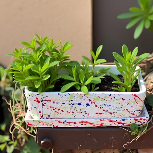 Lasaki Rectangle Shaped Multi Rec003 Ceramic Planter/Pot with Multi Tray | Mini Flower Plant Container/gamla for Indoor, Outdoor, Garden Decoration, Balcony & Office (Plants Not Included) - Image 3