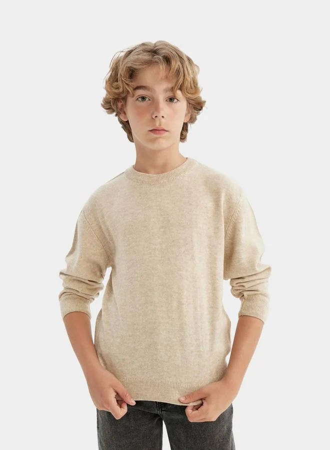 DeFacto Regular Fit Crew Neck Knit Sweater by Styli