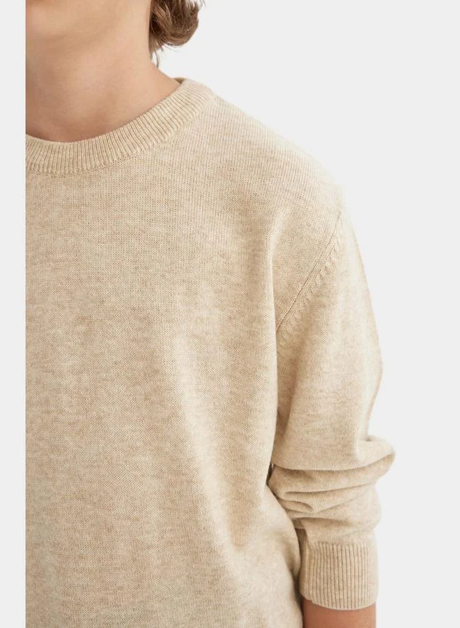 DeFacto Regular Fit Crew Neck Knit Sweater by Styli