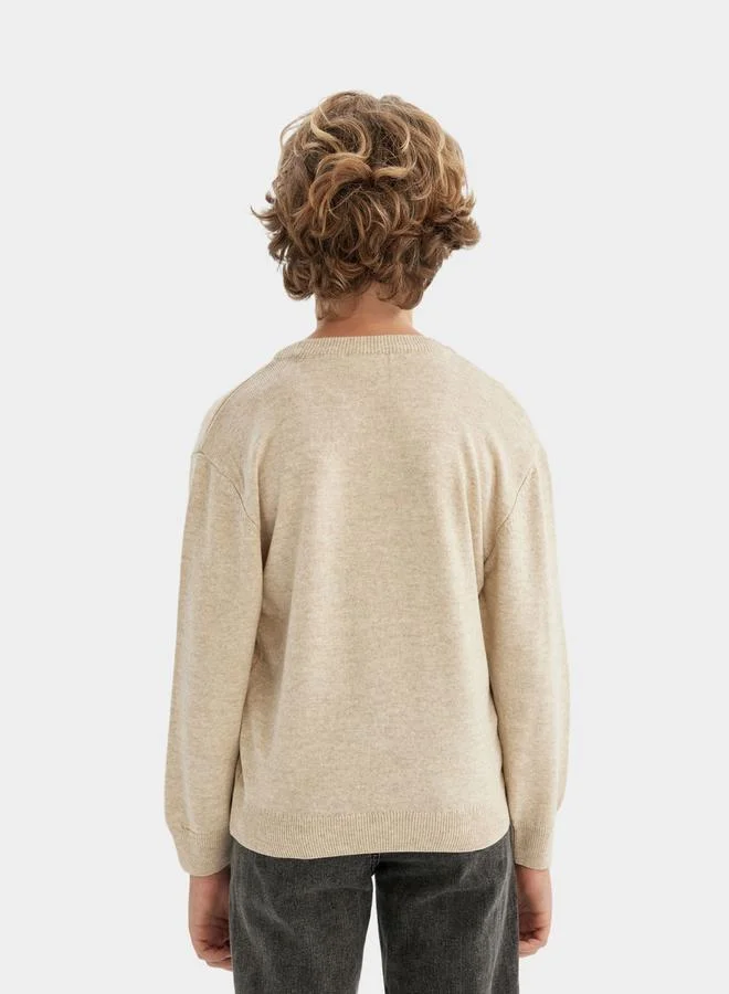 DeFacto Regular Fit Crew Neck Knit Sweater by Styli