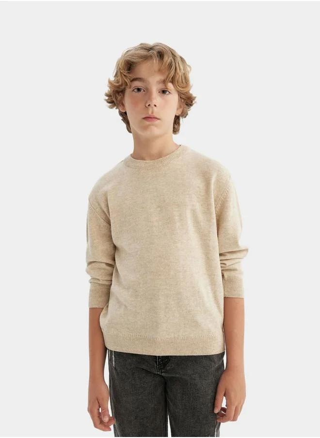 ديفاكتو Regular Fit Crew Neck Knit Sweater