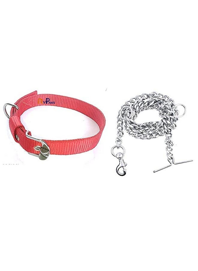 مجموعة من سلسلة المقود غير السامة شديدة التحمل من الفولاذ المقاوم للصدأ بطول 5 أقدام مع حزام طوق من النايلون قابل للتعديل من 12 إلى 16 بوصة، مثالية للكلاب الصغيرة والمتوسطة الحجم (أحمر) - Image 1
