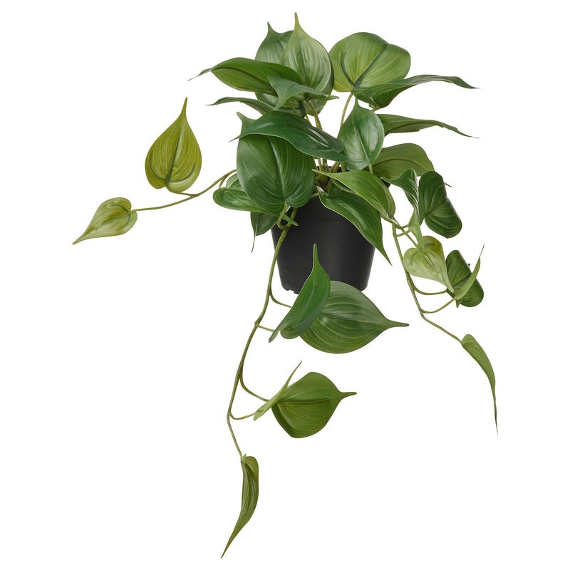 FEJKA Artificial Hanging Golden Pothos Plant, Green, 12 cm Pot - Image 1