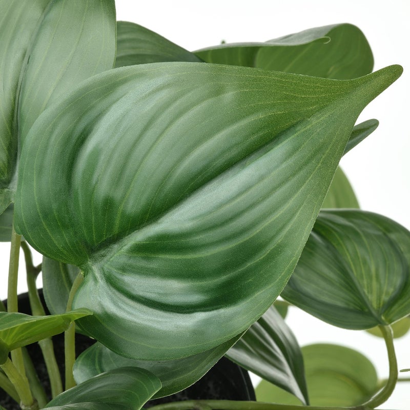 FEJKA Artificial Hanging Golden Pothos Plant, Green, 12 cm Pot - Image 3