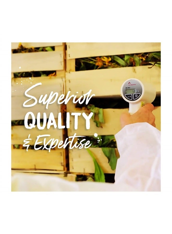 Boiron Graphites 6C, 80 Pellets, Homeopathic Medicine for Scars - Image 5