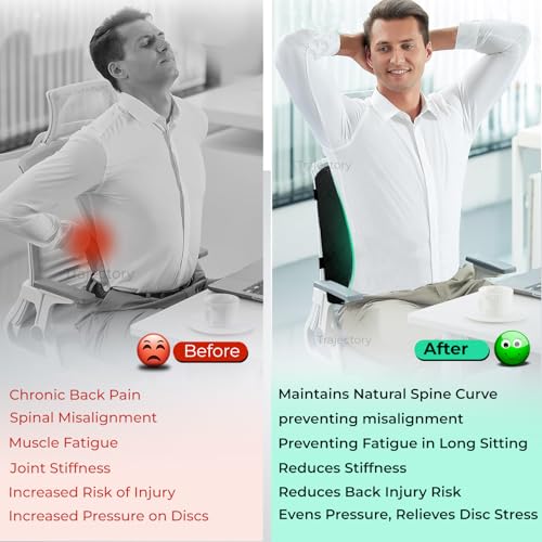 Trajectory Lumbar Support Cushion with ADVANCEDX Memory Foam & GRIDMATRIX Fabric – Orthopedic Comfort for Back Pain Relief. Perfect for Office Chairs, Standard Size, and Designed (Back Rest Cushion) - Image 5