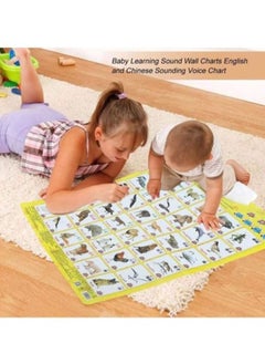 Y&D Educational Wall Posters Chart Sound Toy 30 x 20 5cm  - Image 3