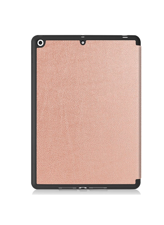 Custer Texture Horizontal Flip Smart TPU Leather Case With Sleep/Wake-up Function/Three-folding Holder And Pen Slot For Apple iPad 10.2 Rose Gold