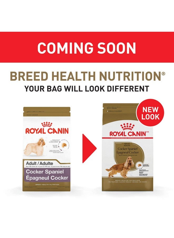 رويال كانين طعام جاف للكلاب البالغة من سلالة كوكير سبانيل، كيس 6 رطل - Image 2