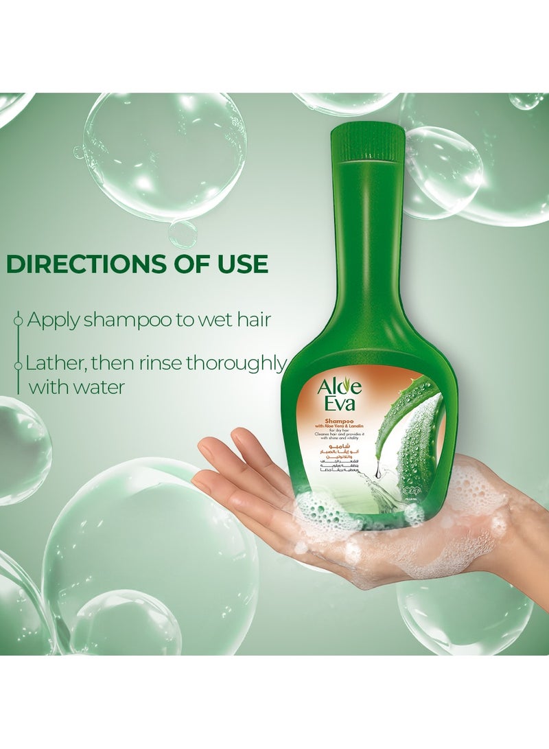 Eva شامبو الألوة مع الألوة فيرا واللانولين - Image 5
