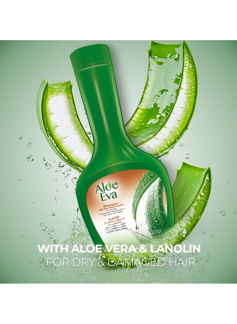 Eva شامبو الألوة مع الألوة فيرا واللانولين - Image 4