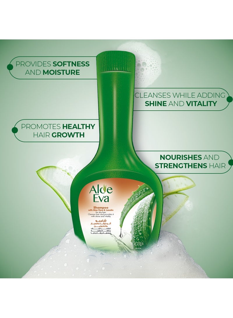 Eva شامبو الألوة مع الألوة فيرا واللانولين - Image 3
