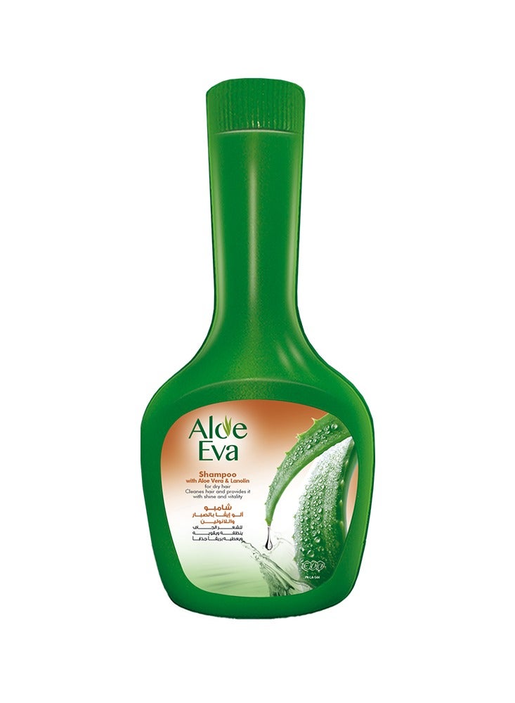 Eva شامبو الألوة مع الألوة فيرا واللانولين - Image 1