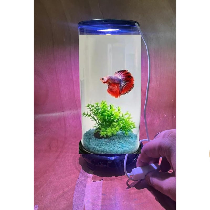 KSH STORE حوض سمك بيتا شفاف صغير 360° من STORE ®، حوض سمك مكتبي للمنزل وغرفة المعيشة باللون الأسود، مع ضوء LED ملون USB سهل التنظيف والصيانة | حوض سمك محمول صغير (سعة 1 لتر) - Image 1