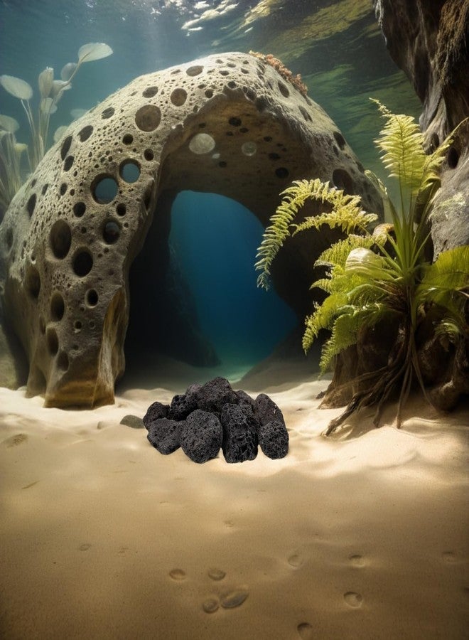 INOOMP Volcanic Rock Decorative Stones 1 Pack Natural Lava Rocks for Aquarium Fish Tank Ornaments Potted Plant Stones Garden and Terrarium Decorations - Image 3