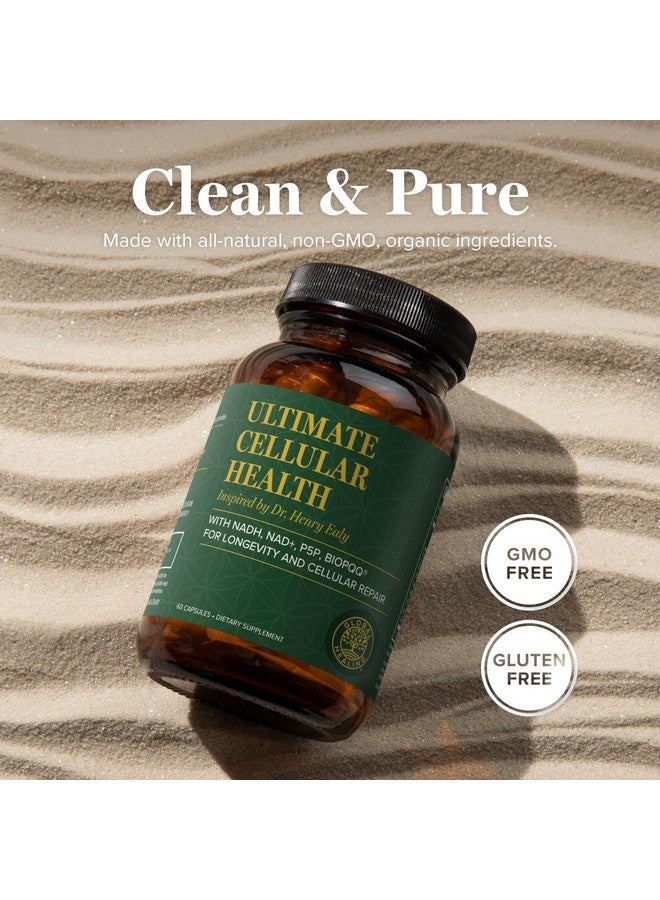 جلوبال هيلنغ سنتر مكمل Global Healing Ultimate Cellular Health -NAD للنساء والرجال، إصلاح الخلايا، يحتوي على ريسفيراترول لمكافحة الشيخوخة، يدعم NAD Plus، بديل لنيكوتيناميد ريبوسيد - 60 كبسولة - Image 4