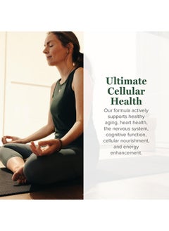 global healing center Global Healing Ultimate Cellular Health -NAD Supplement for Women and Men, Cellular Repair, Includes Resveratrol for Anti-Aging, Supports NAD Plus, Alternative to Nicotinamide Riboside- 60 Capsules  - Image 3